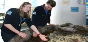 Professional Development Courses for Everyone